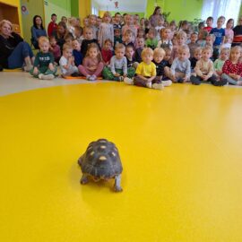 Egzotyczni goście w przedszkolu Egzotyczni goście w przedszkolu