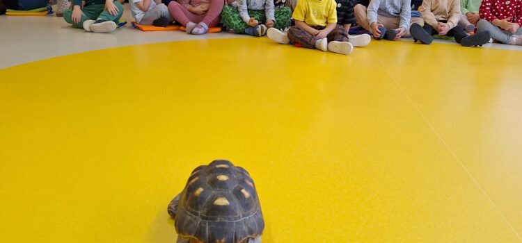 Egzotyczni goście w przedszkolu Egzotyczni goście w przedszkolu