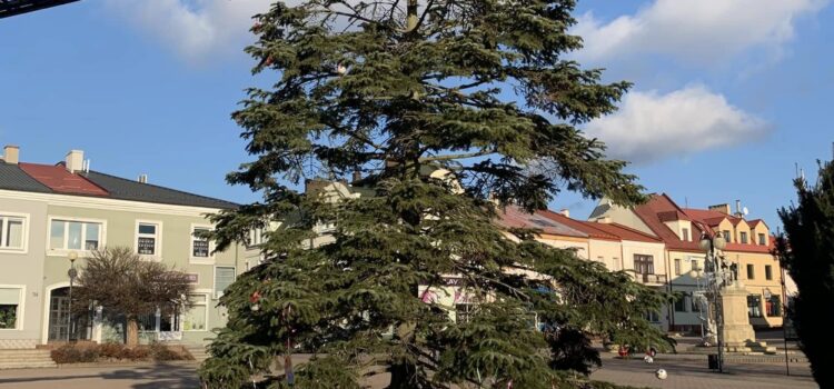 Dekorowanie choinki Dekorowanie choinki