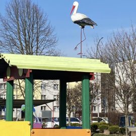 Nasze dzieci z radością powitały bociana, który stanął na daszku lokomotywy w ogrodzie przedszkolnym informując wszystkich o nadejściu wiosny.